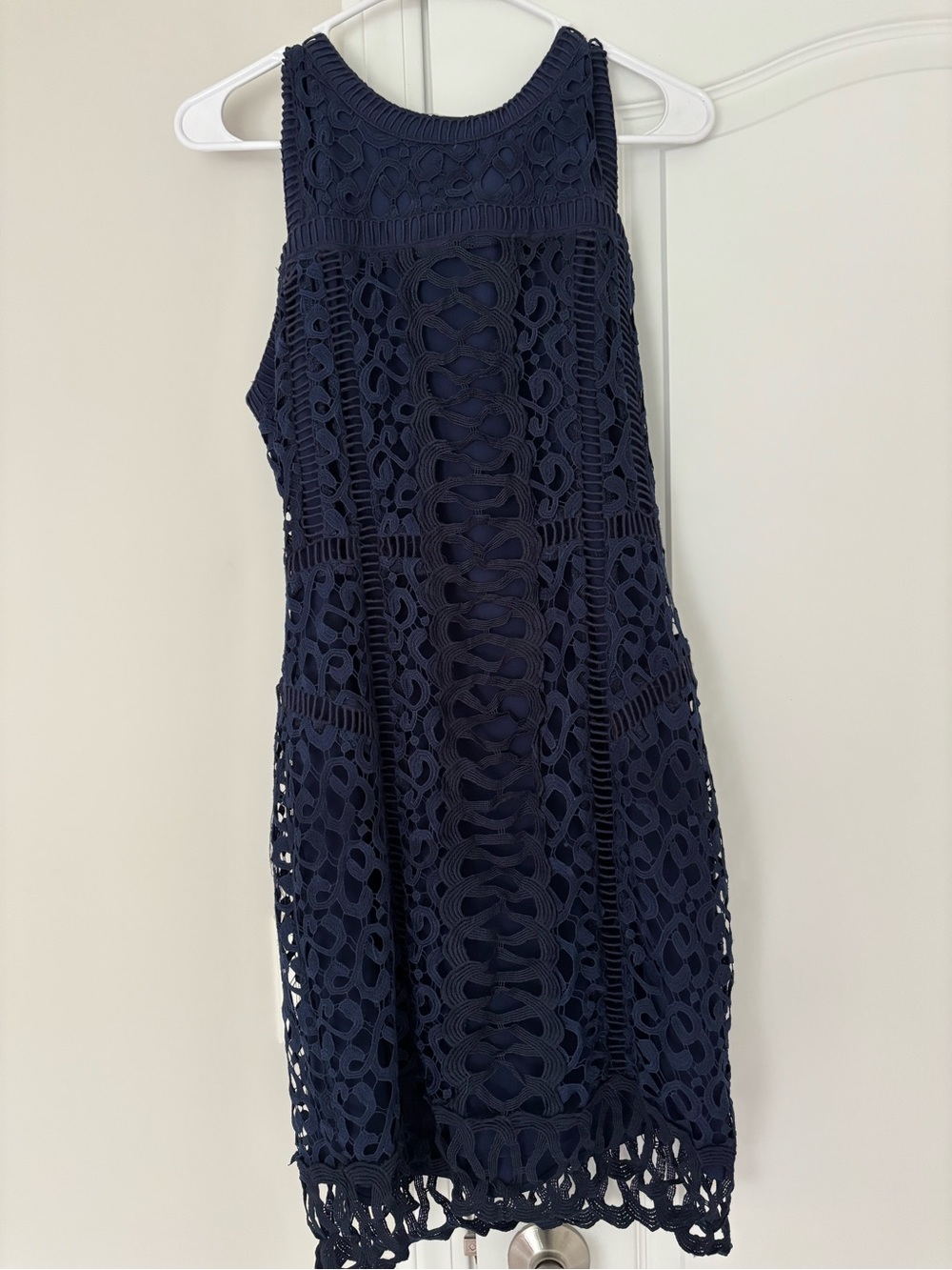Greylin Navy Crochet Mini Dress